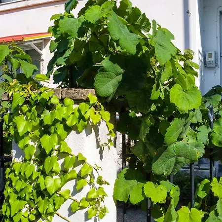Apartman Margaret *